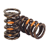 Comp Cams Hi-Tech Roller Valve Springs