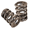 Howards Cams, Pro-Alloy Roller Valve Springs