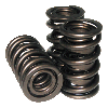 Howards Pro-Endurance Springs