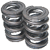 Crane Dual Valve Springs