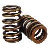 Comp Cams Ford 4.6/5.4L Valve Springs